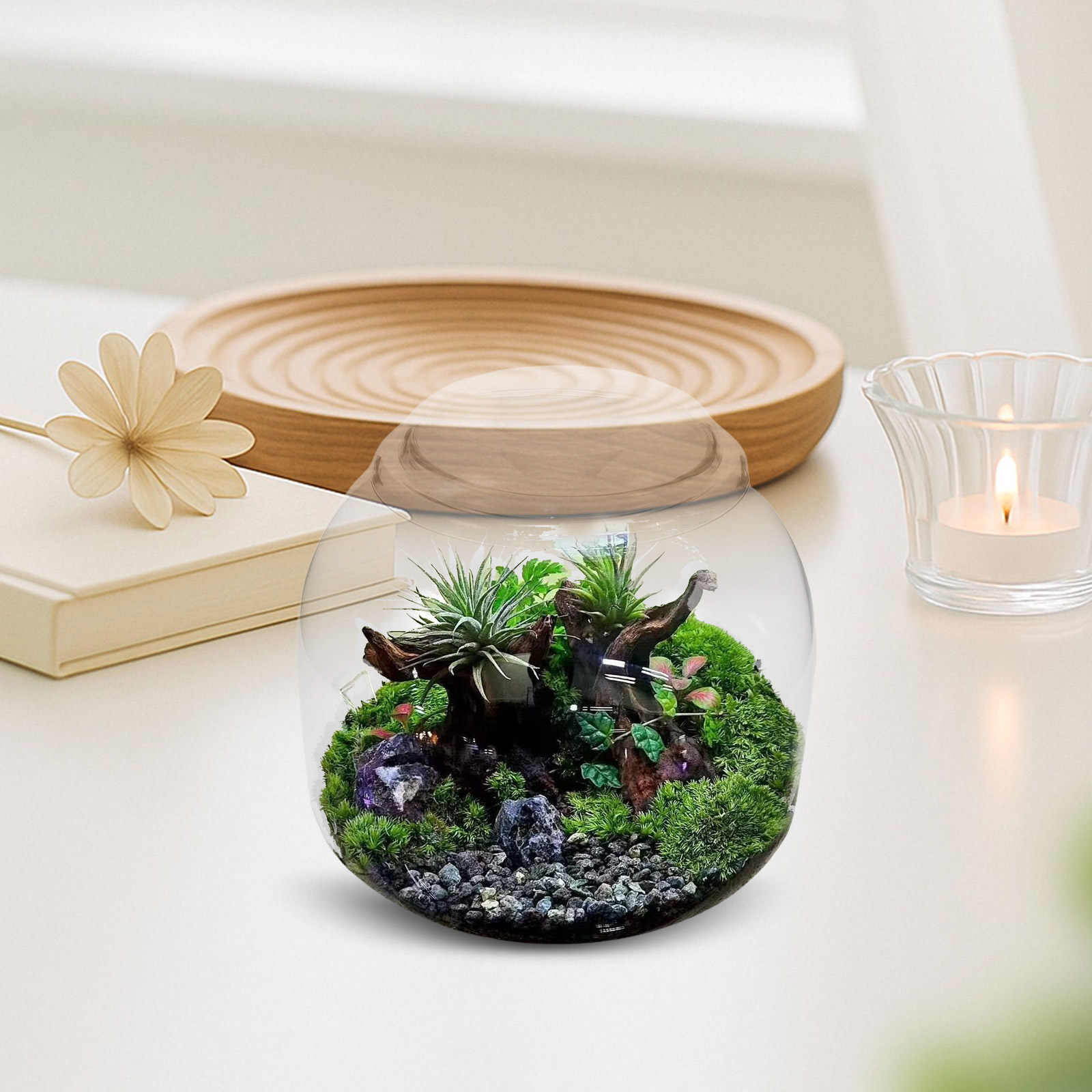 Terrarium Glass Bottle - وعاء زجاجي شفاف للنباتات مع غطاء،