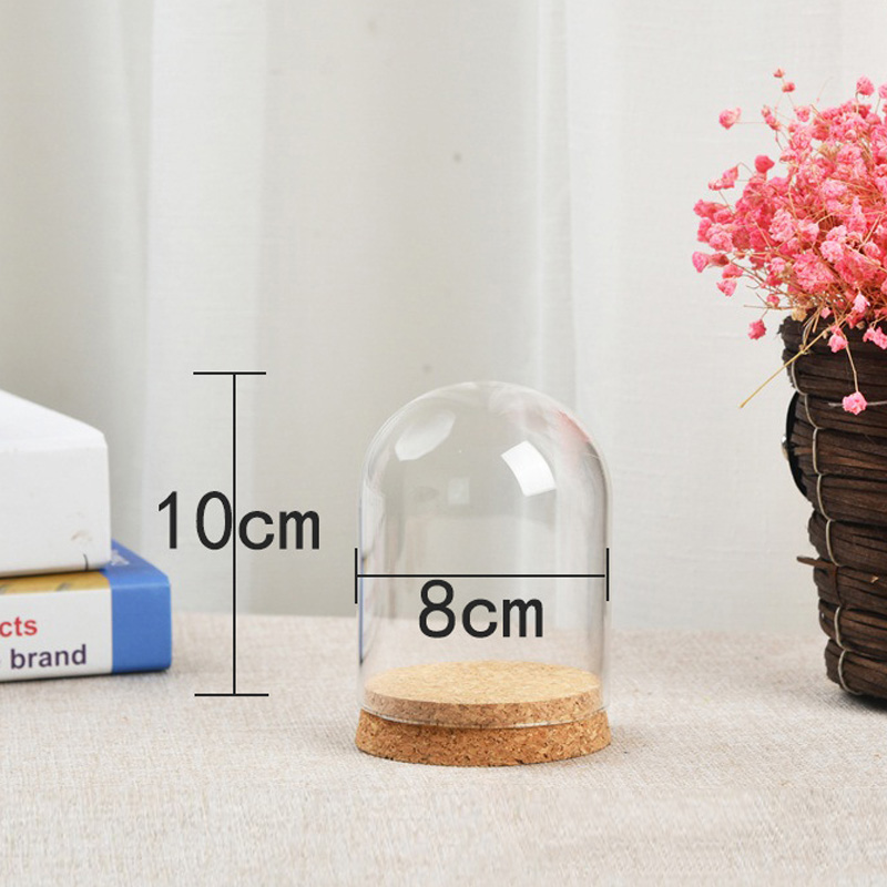 Terrarium Glass Bottle - غطاء قبة زجاجي شفاف للنباتات العصارية