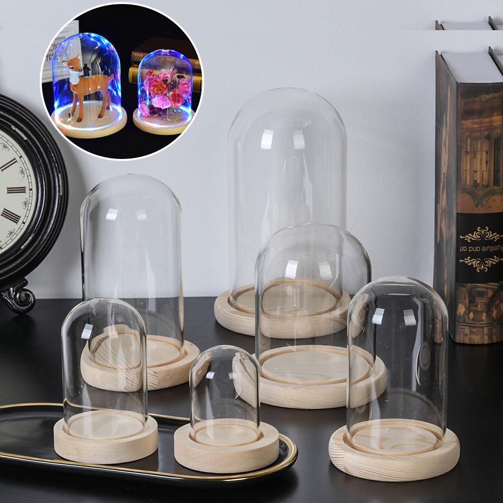Terrarium Glass Bottle - وعاء زجاجي شفاف للزينة مع أضواء