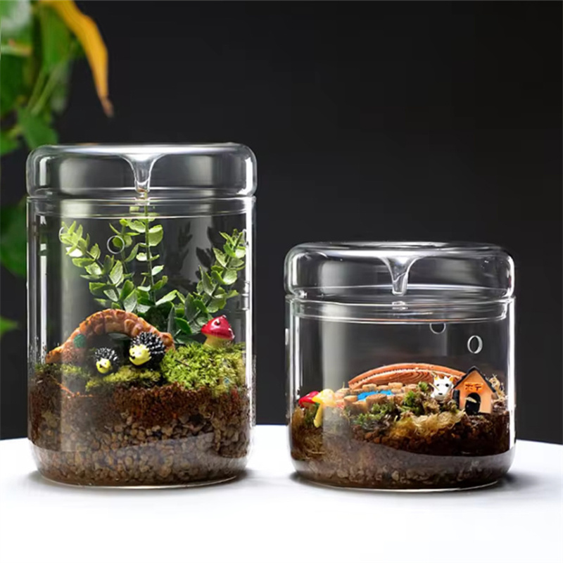 Terrarium Glass Bottle - الزجاجات الزجاجية الإبداع مجموعة الندى الزجاج