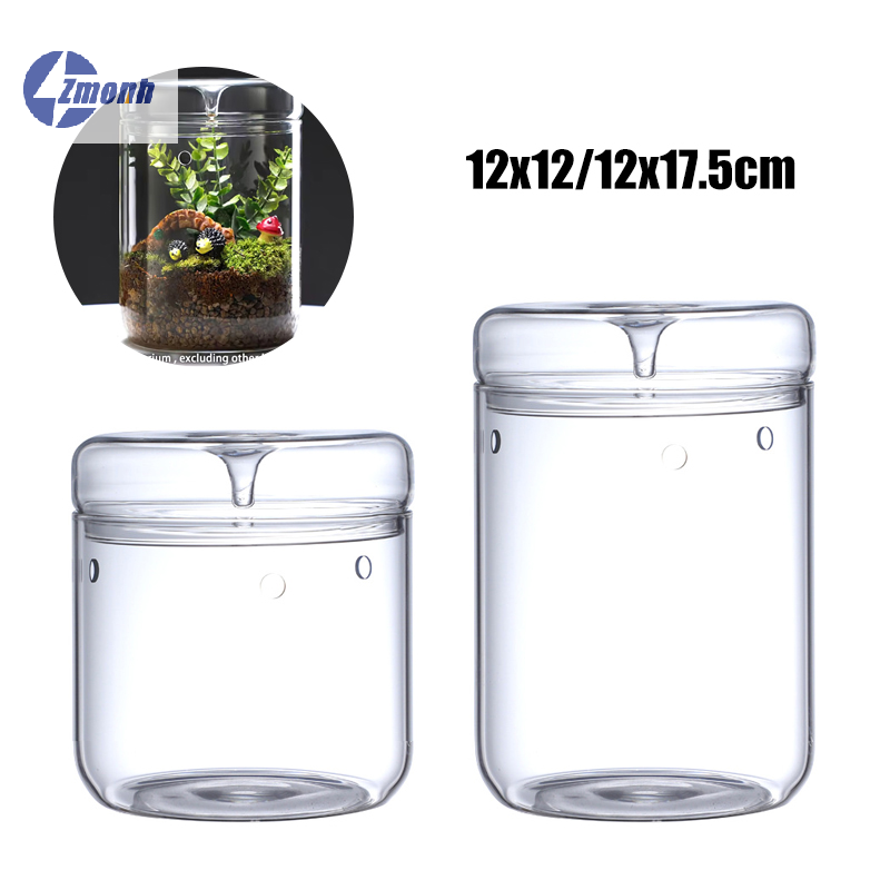 Terrarium Glass Bottle - جديد! زجاجة زجاجية للمناظر الطبيعية المصغرة،