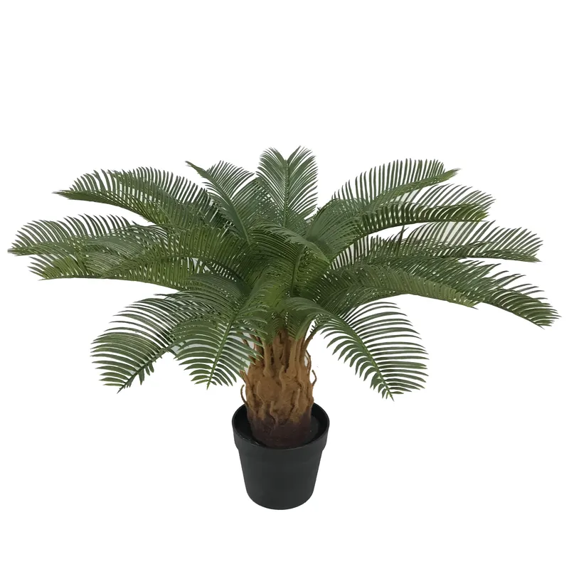 نبات سايكاس صناعي للديكور المن - مراجعة Home Decor Handicraft وسعره