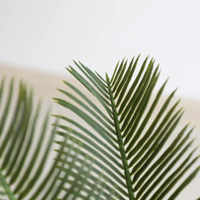 نبات سايكاس صناعي للديكور المن - مراجعة Home Decor Handicraft وسعره