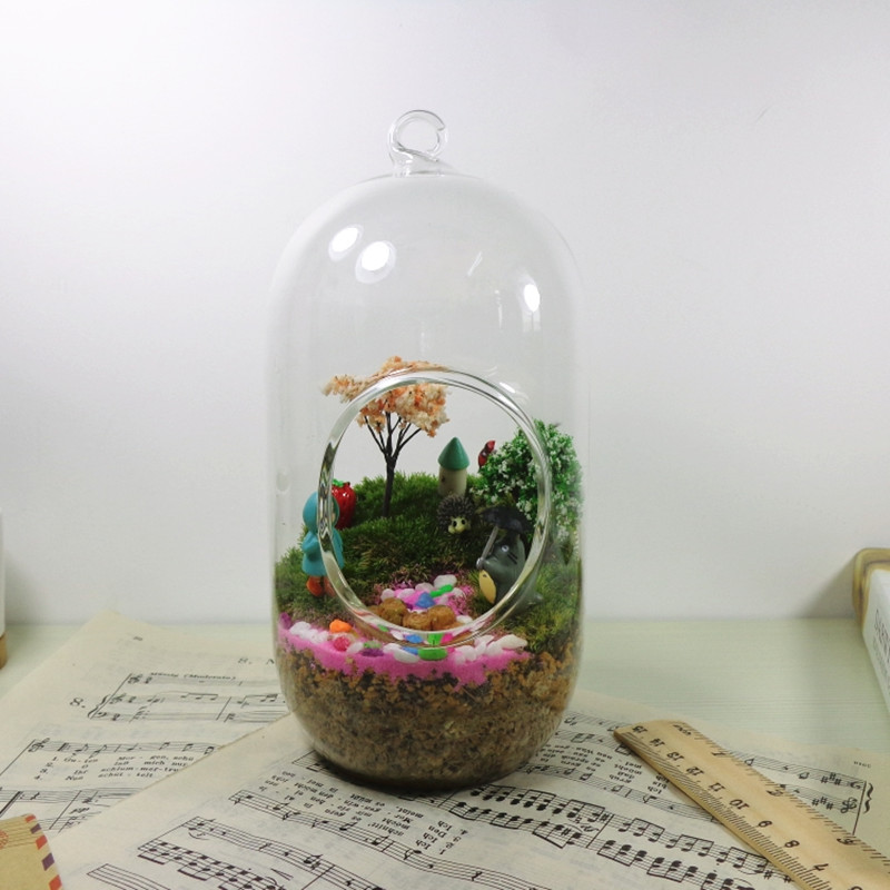 قطعتان/عبوة، 10*20 سم، وعاء زج - مراجعة Terrarium Glass Bottle وسعره