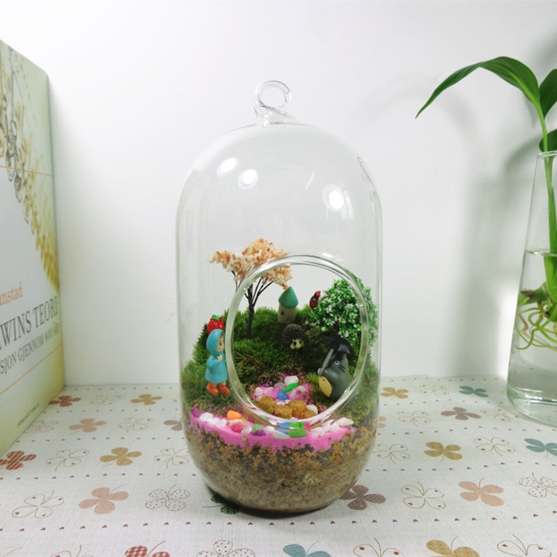 قطعتان/عبوة، 10*20 سم، وعاء زج - مراجعة Terrarium Glass Bottle وسعره
