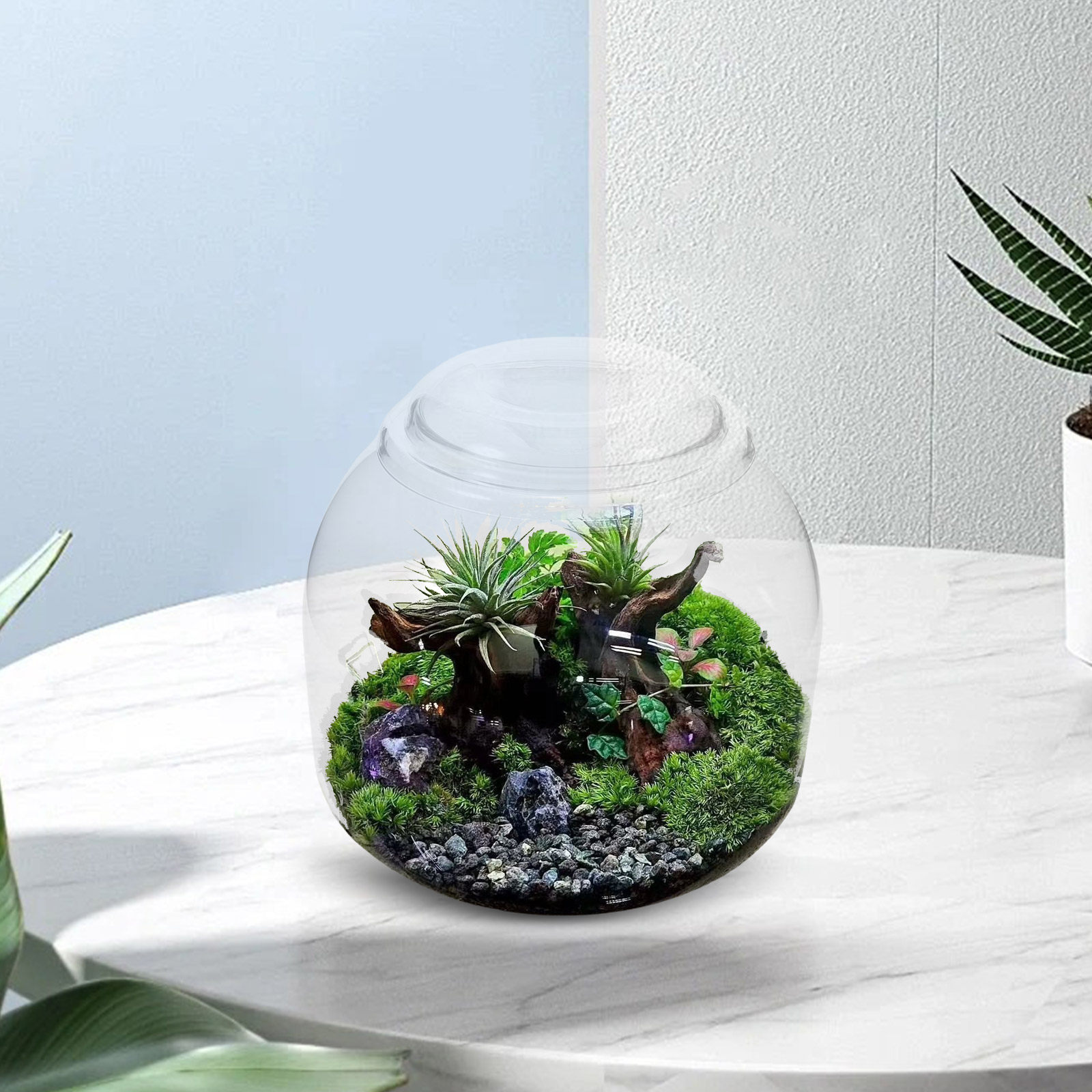 وعاء زجاجي شفاف للنباتات مع غط - مراجعة Terrarium Glass Bottle وسعره