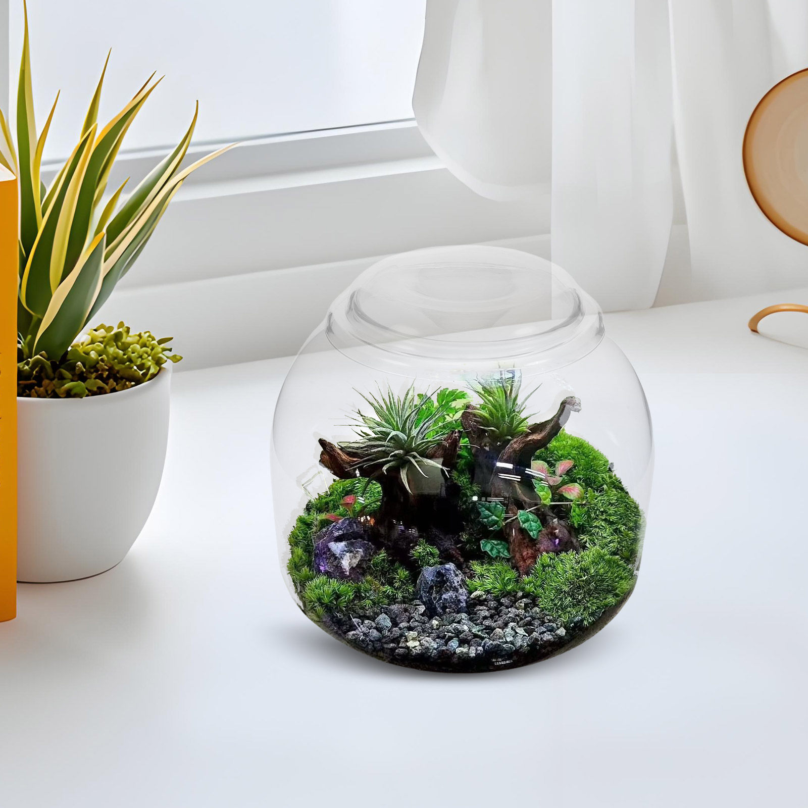 وعاء زجاجي شفاف للنباتات مع غط - مراجعة Terrarium Glass Bottle وسعره