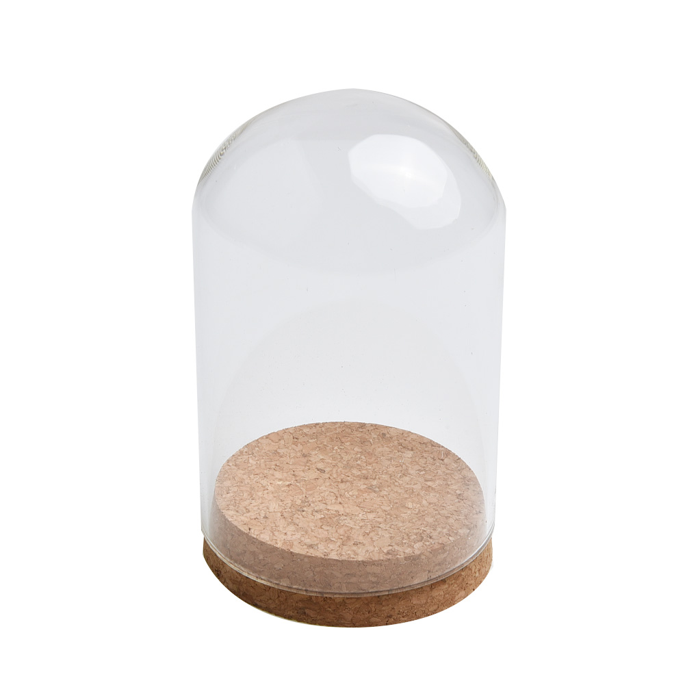 غطاء قبة زجاجي شفاف للنباتات ا - مراجعة Terrarium Glass Bottle وسعره
