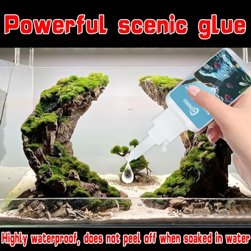 غراء لتنسيق أحواض السمك، لاصق  - مراجعة Terrarium Glass Bottle وسعره