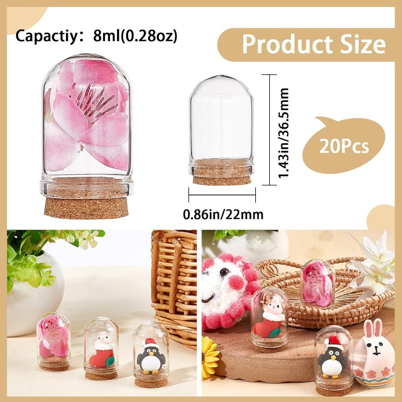 20 مجموعة من جرة جرس عرض صغيرة - مراجعة Terrarium Glass Bottle وسعره