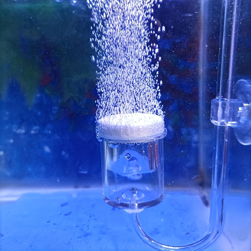 حوض السمك الزجاج CO2 البخاخة ا - مراجعة Terrarium Glass Bottle وسعره