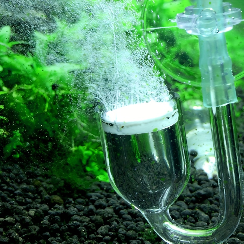 حوض السمك الزجاج CO2 البخاخة ا - مراجعة Terrarium Glass Bottle وسعره