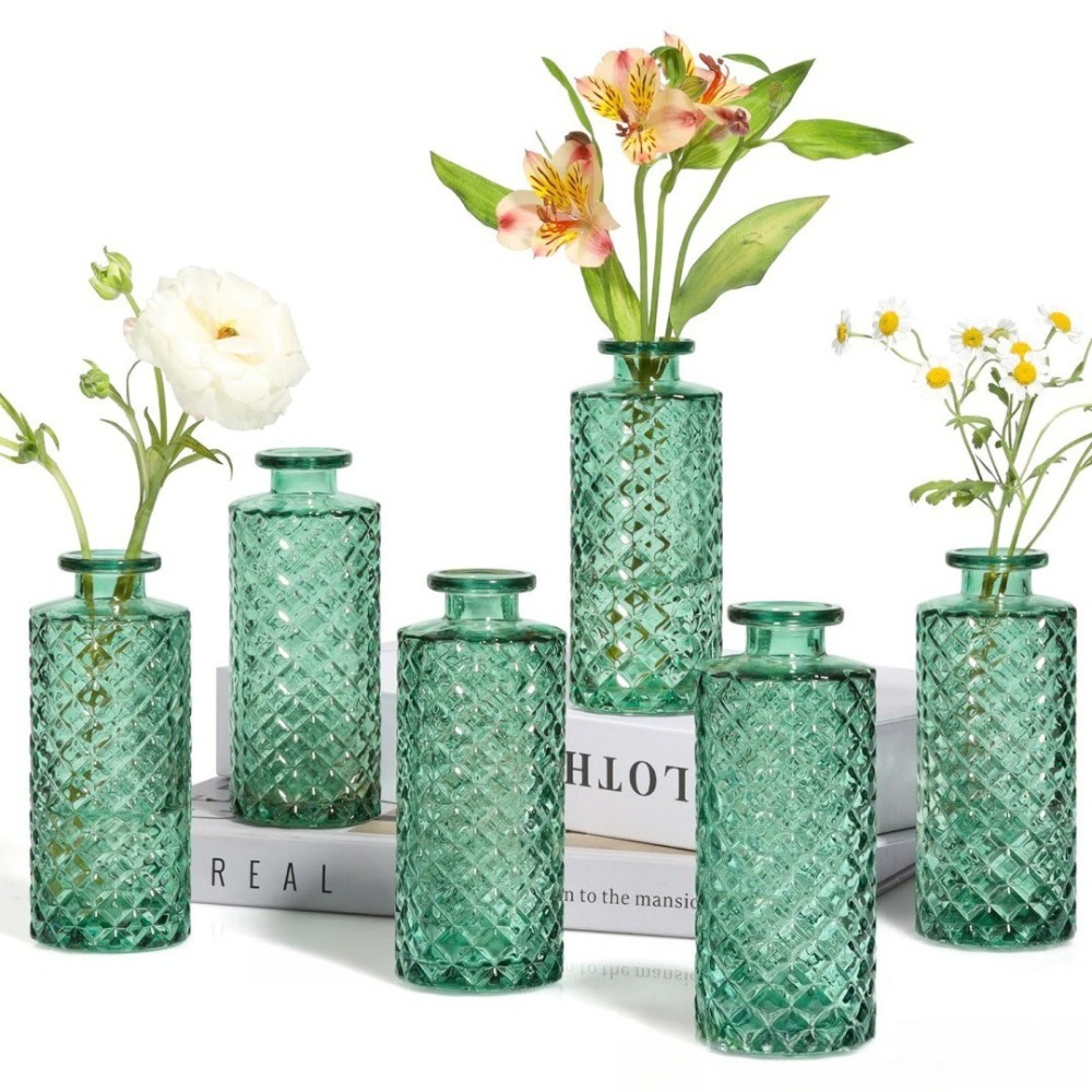 10 قطع من المزهريات الزجاجية ا - مراجعة Terrarium Glass Bottle وسعره