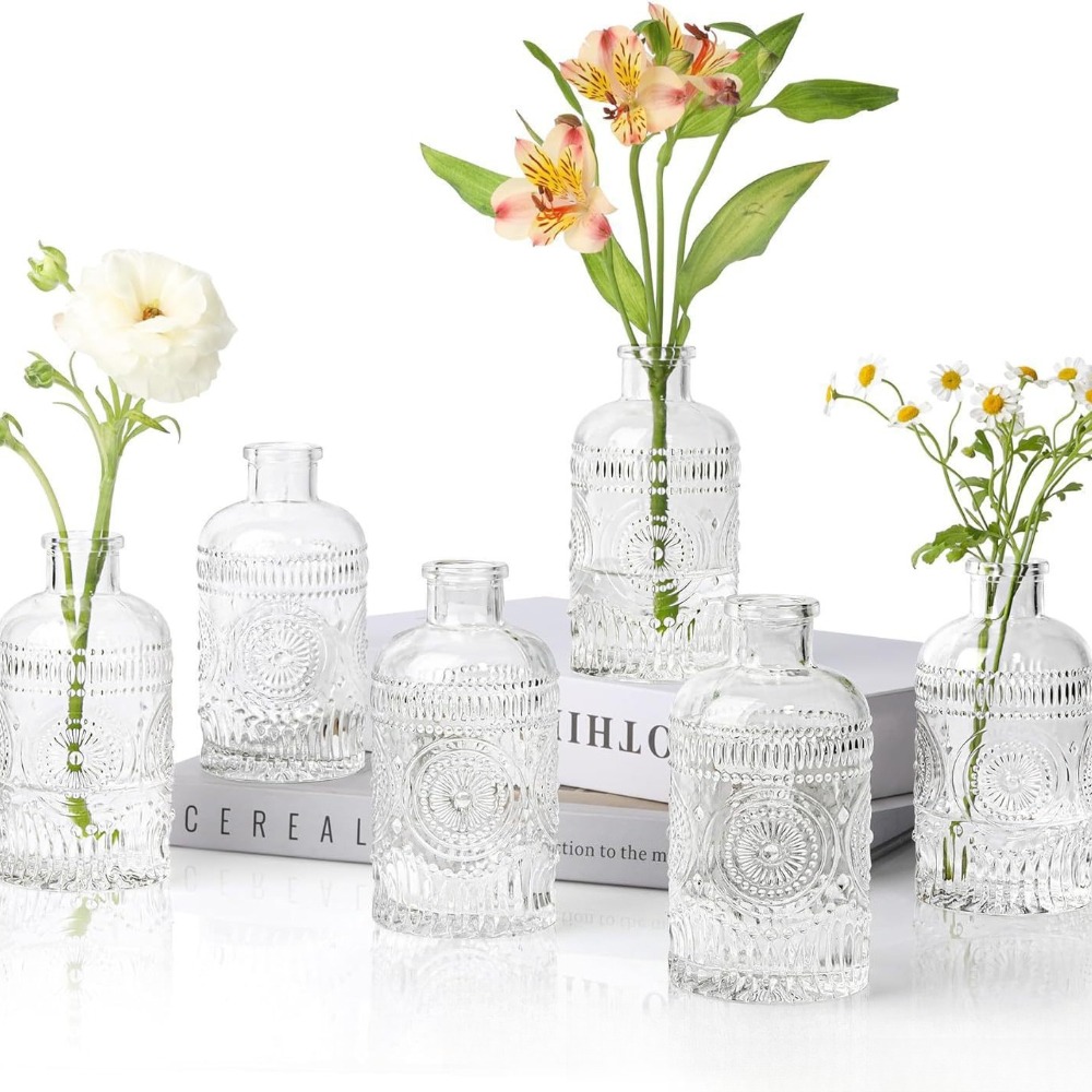 10 قطع من المزهريات الزجاجية ا - مراجعة Terrarium Glass Bottle وسعره