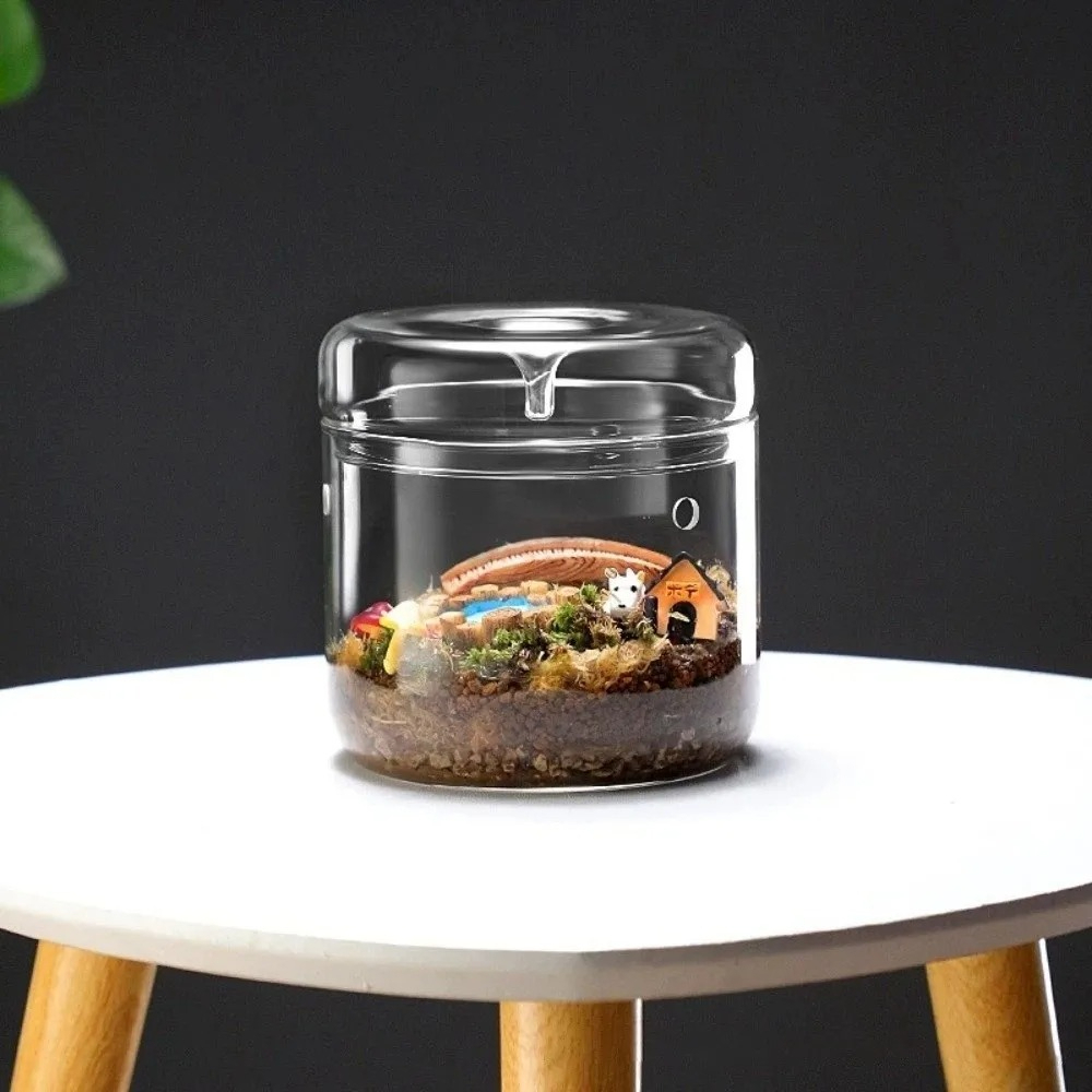 مزهرية زجاجية للمناظر الطبيعية - مراجعة Terrarium Glass Bottle وسعره