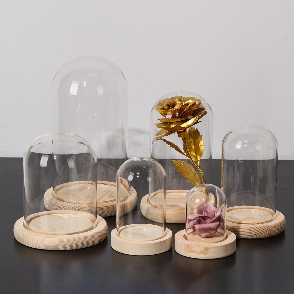 وعاء زجاجي شفاف للزينة مع أضوا - مراجعة Terrarium Glass Bottle وسعره