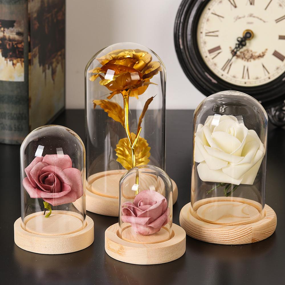 حامل عرض برطمان زجاجي مع قاعدة - مراجعة Terrarium Glass Bottle وسعره