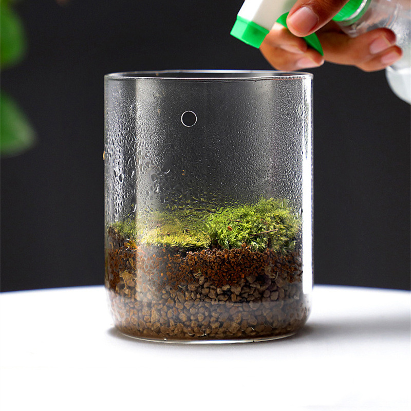 الزجاجات الزجاجية الإبداع مجمو - مراجعة Terrarium Glass Bottle وسعره
