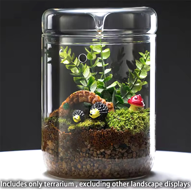 الزجاجات الزجاجية الإبداع مجمو - مراجعة Terrarium Glass Bottle وسعره