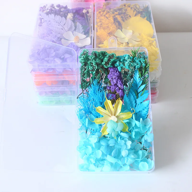 صندوق معبأ على شكل زهرة جافة ح - مراجعة Home Decor Handicraft وسعره