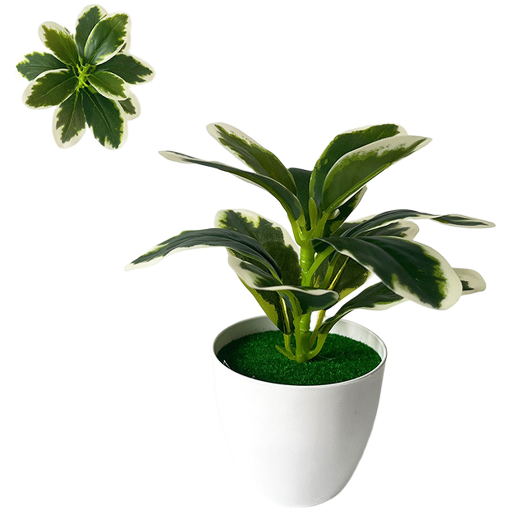 نبات أخضر اصطناعي في وعاء مصمم - مراجعة Home Decor Location وسعره
