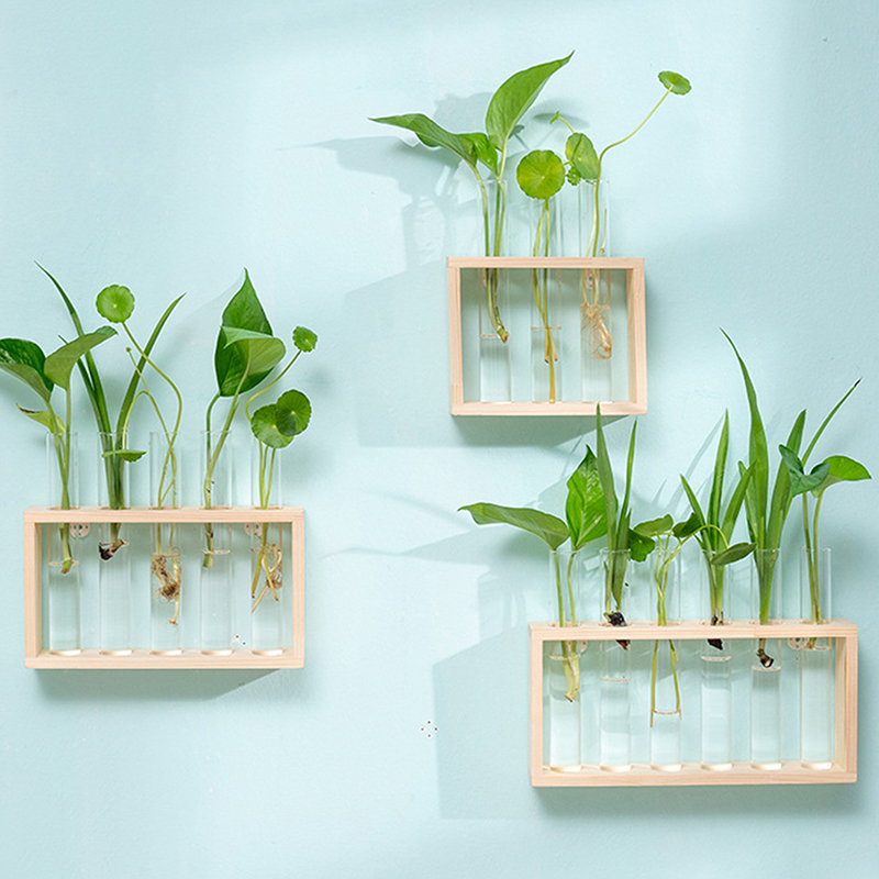 حاوية النباتات المائية مع إطار - مراجعة Terrarium Glass Bottle وسعره