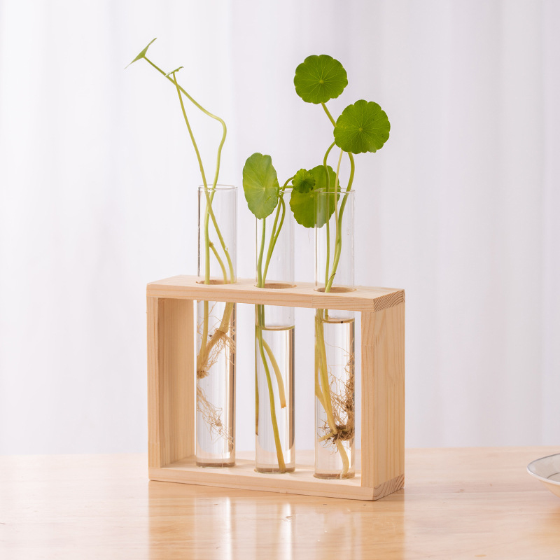 حاوية النباتات المائية مع إطار - مراجعة Terrarium Glass Bottle وسعره