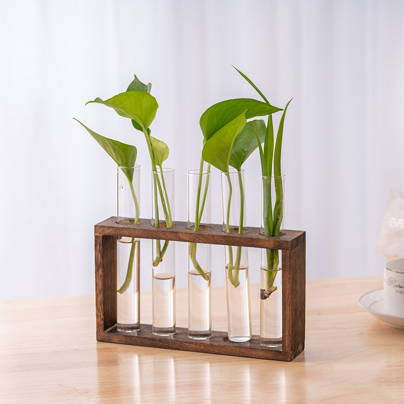 حاوية النباتات المائية مع إطار - مراجعة Terrarium Glass Bottle وسعره
