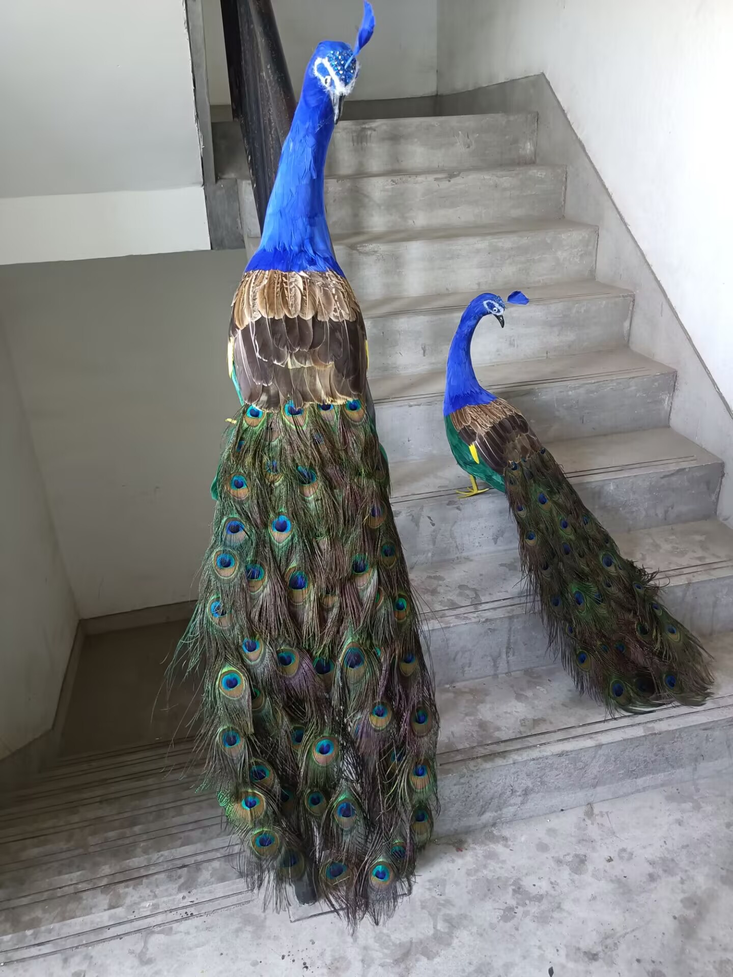 نموذج طاووس واقعي بطول 105 سم، - مراجعة Home Decor Design Ideas وسعره