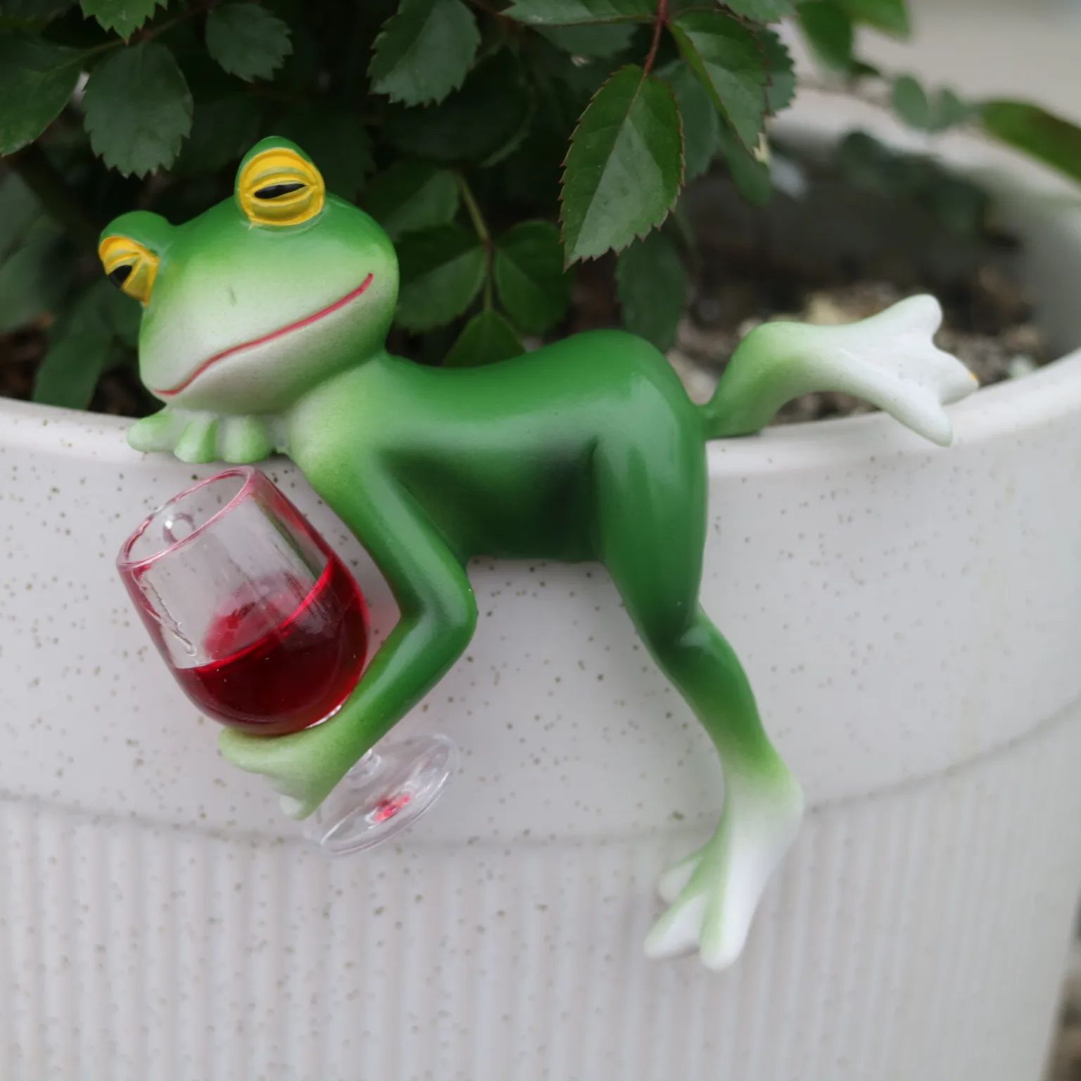 زينة رائعة على شكل ضفدع أخضر و - مراجعة Terrarium Glass Bottle وسعره
